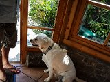 20180813_102524.JPG