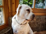20180813_102617.JPG