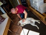20180813_102725.JPG