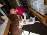 20180813_102726(0).JPG