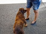 20180813_104059.JPG
