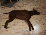 20180813_105553.JPG