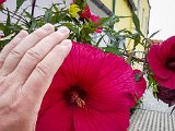 20180815_152349.JPG