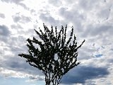 20180815_155635.JPG