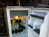 20180815_164116.JPG