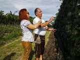 20180815_164522.JPG