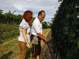 20180815_164524(1).JPG