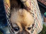 20180815_193444.JPG