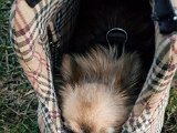 20180815_203035.JPG