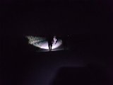 20180816_001720.JPG
