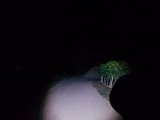 20180816_003238.JPG