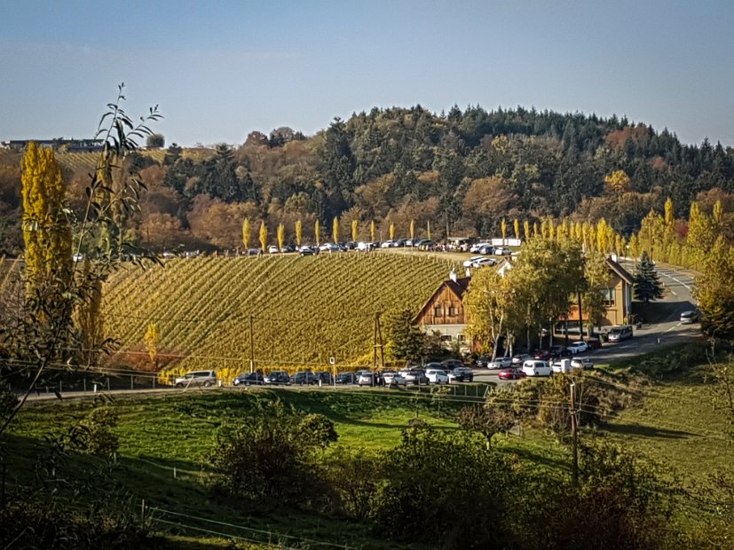20181026_124140(0)