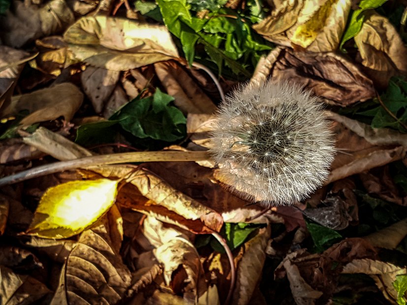 20181026_145627