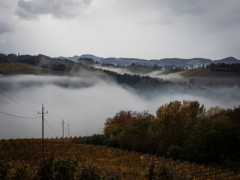 20181027_123302(0)