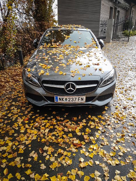 20181029_102524(0)