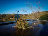 20181025_095843(0).JPG