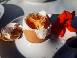 20181025_101931(0).JPG