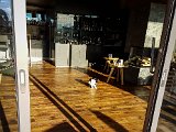 20181025_161846.JPG