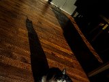 20181025_161902(0).JPG