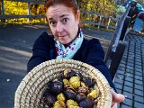 20181025_163605(0).JPG