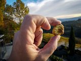 20181025_163732.JPG