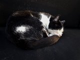 20181025_164053.JPG