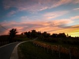20181025_180529(0).JPG