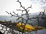 20181026_102858.JPG