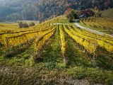 20181026_103240(0).JPG