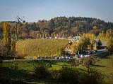 20181026_124140(0).JPG