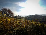 20181026_145525.JPG