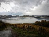 20181027_123254.JPG