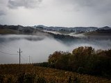 20181027_123302(0).JPG