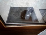 20181028_104407(0).JPG