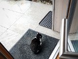 20181028_104516.JPG