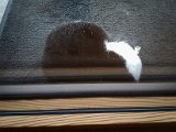 20181028_112156.JPG