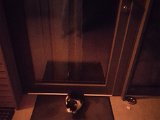 20181028_203638.JPG