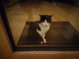 20181028_204841.JPG