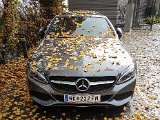 20181029_102524(0).JPG