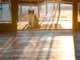 IMG_1414.jpg