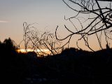 IMG_1449.jpg