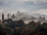 IMG_1453.jpg