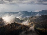 IMG_1459.jpg