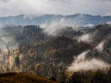 IMG_1464.jpg