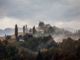 IMG_1470.jpg