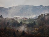 IMG_1473.jpg