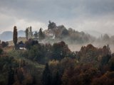 IMG_1482.jpg