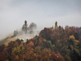 IMG_1483.jpg