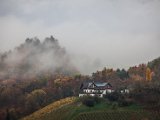 IMG_1486.jpg
