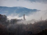 IMG_1494.jpg